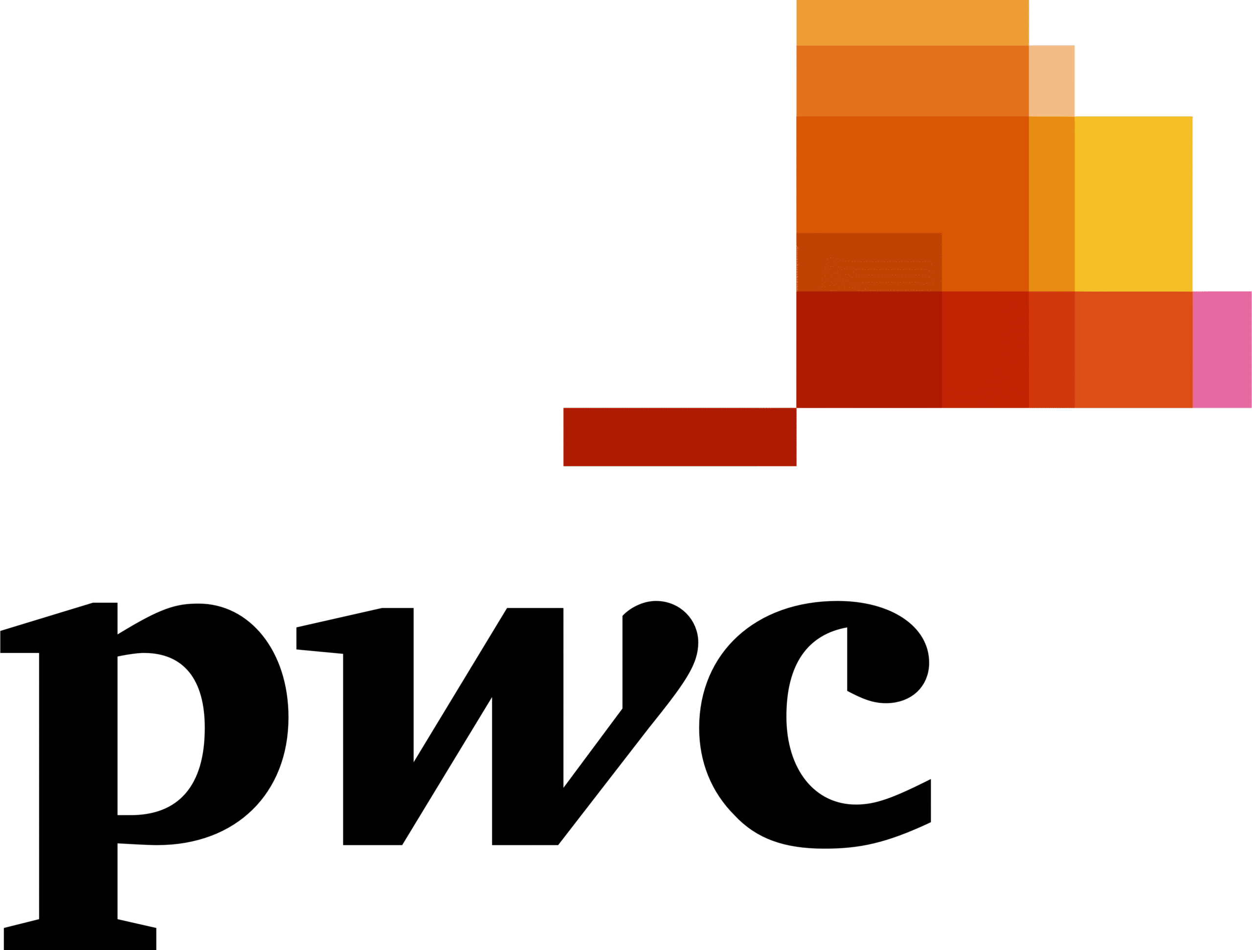 PwC_logo_PricewaterhouseCoopers-1491736860